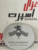 استیل درب باک 206